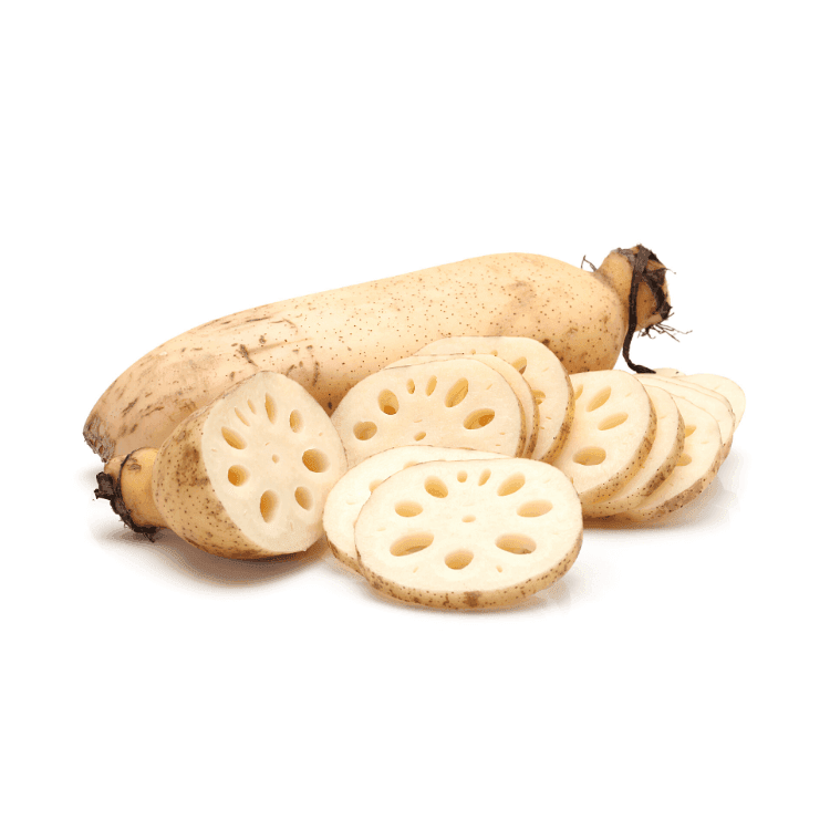 Lotus Root
