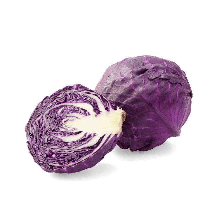 Red Cabbage