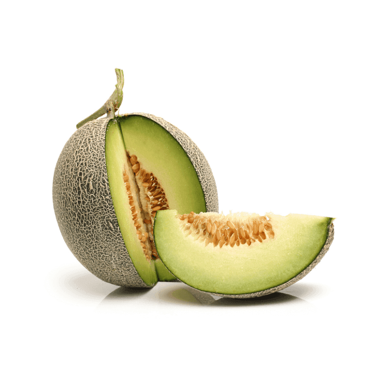 Rock Melon