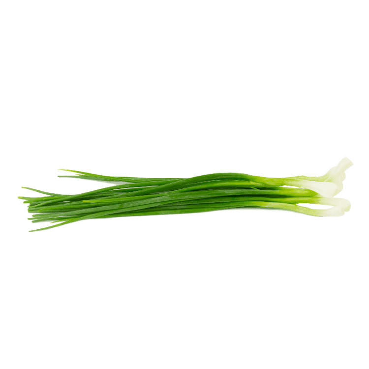 Spring Onion