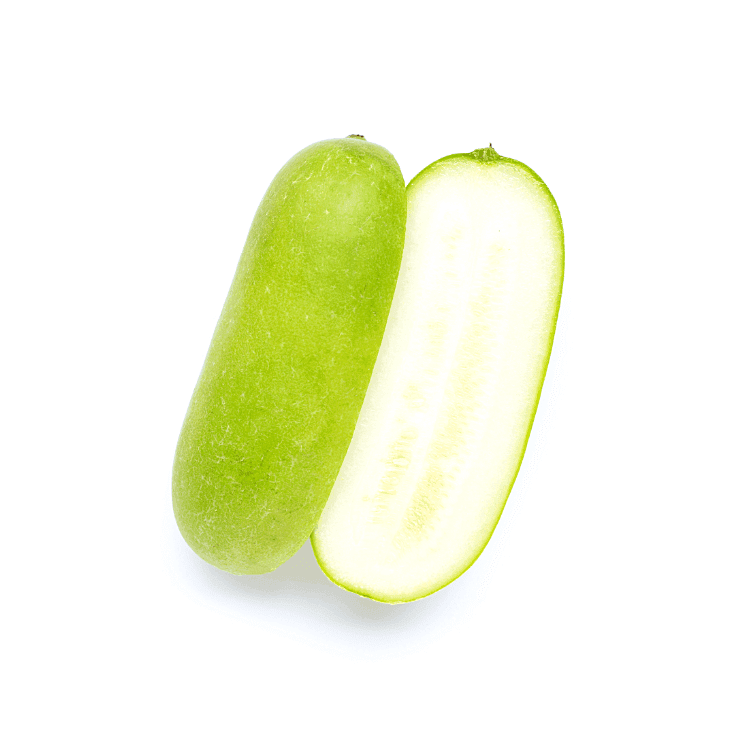 Young Wax Gourd
